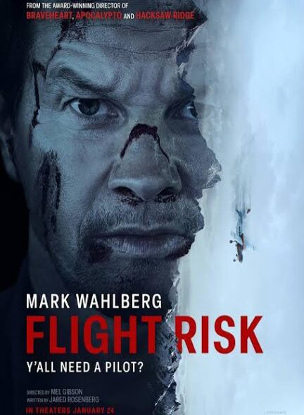 دانلود فیلم sFlight Rik