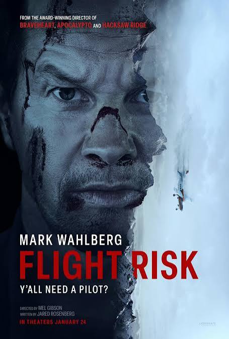 دانلود فیلم sFlight Rik